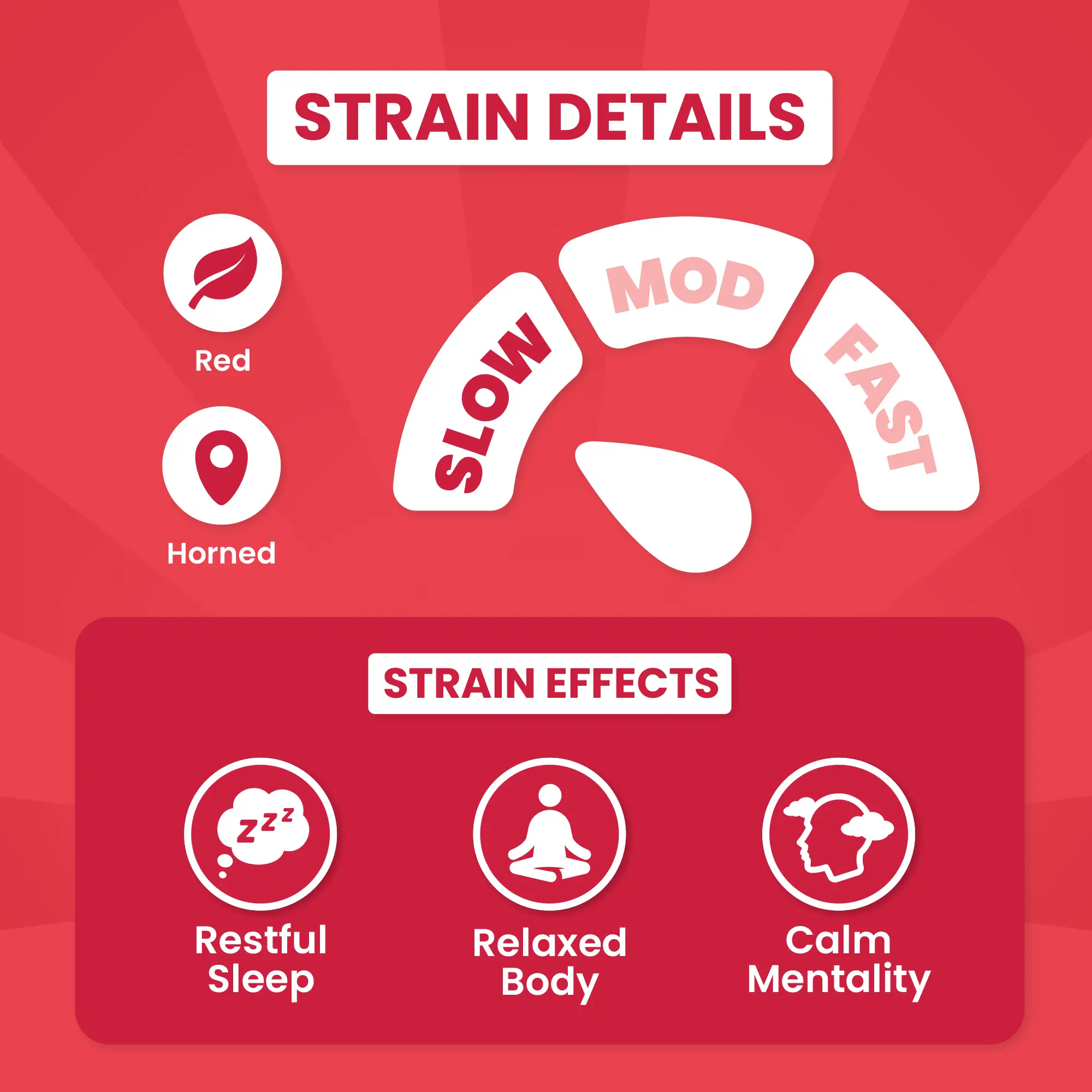 Slow Mo Hippo - Image 4