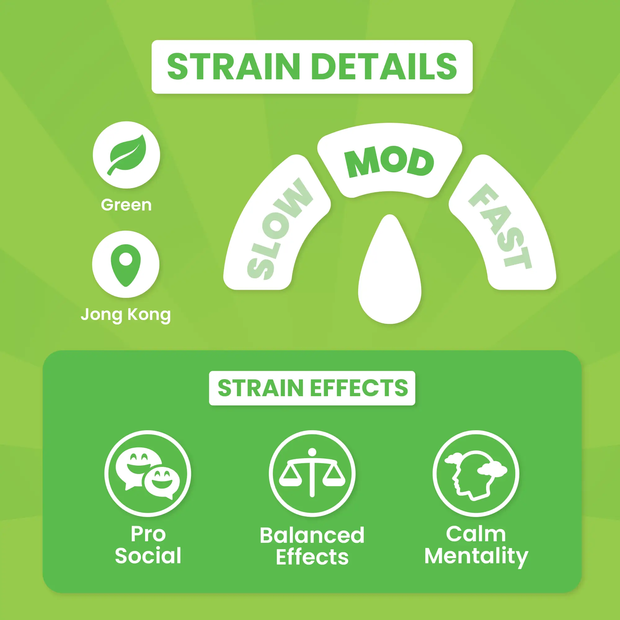 Evergreen Hippo - Image 4