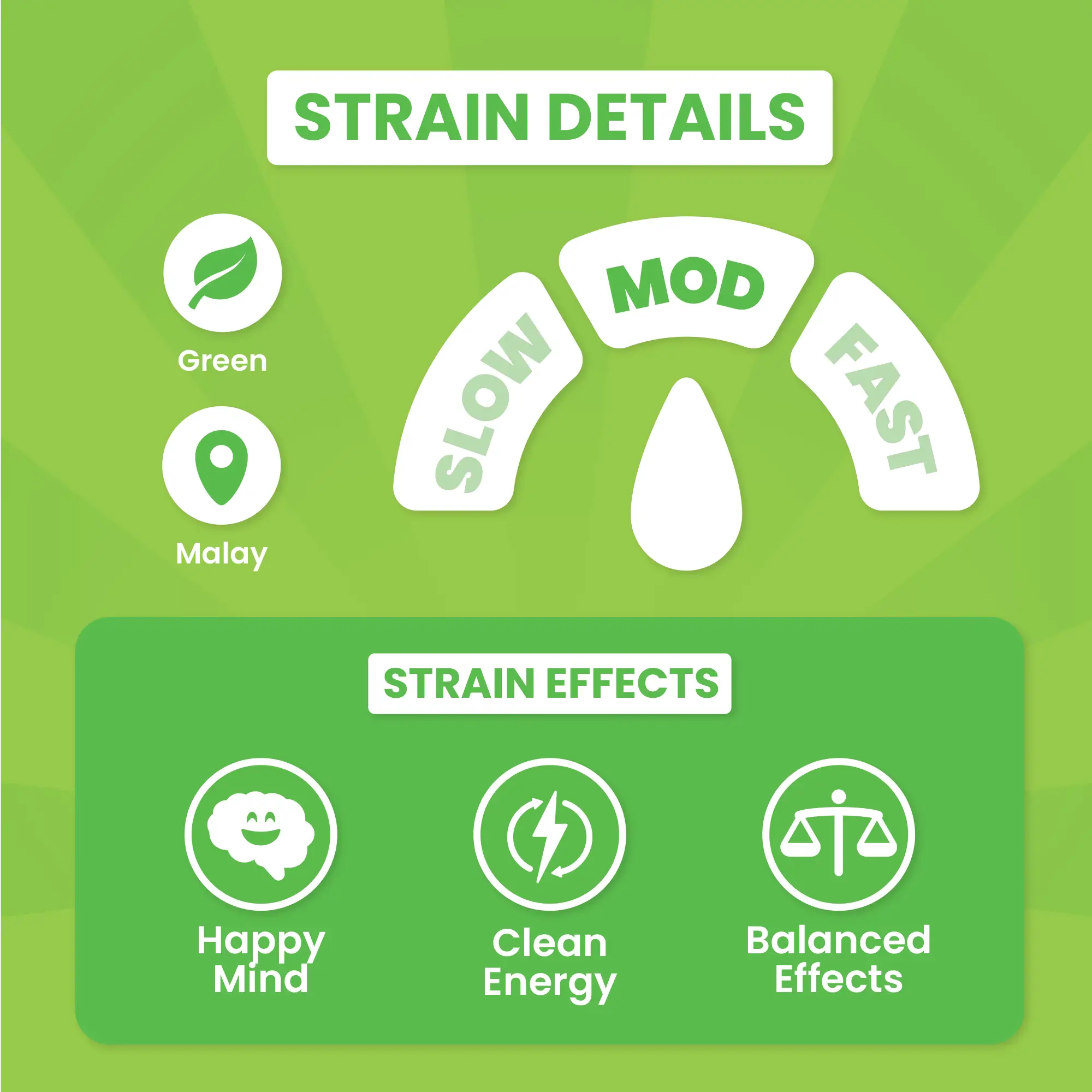 Elite Elephant - Image 4