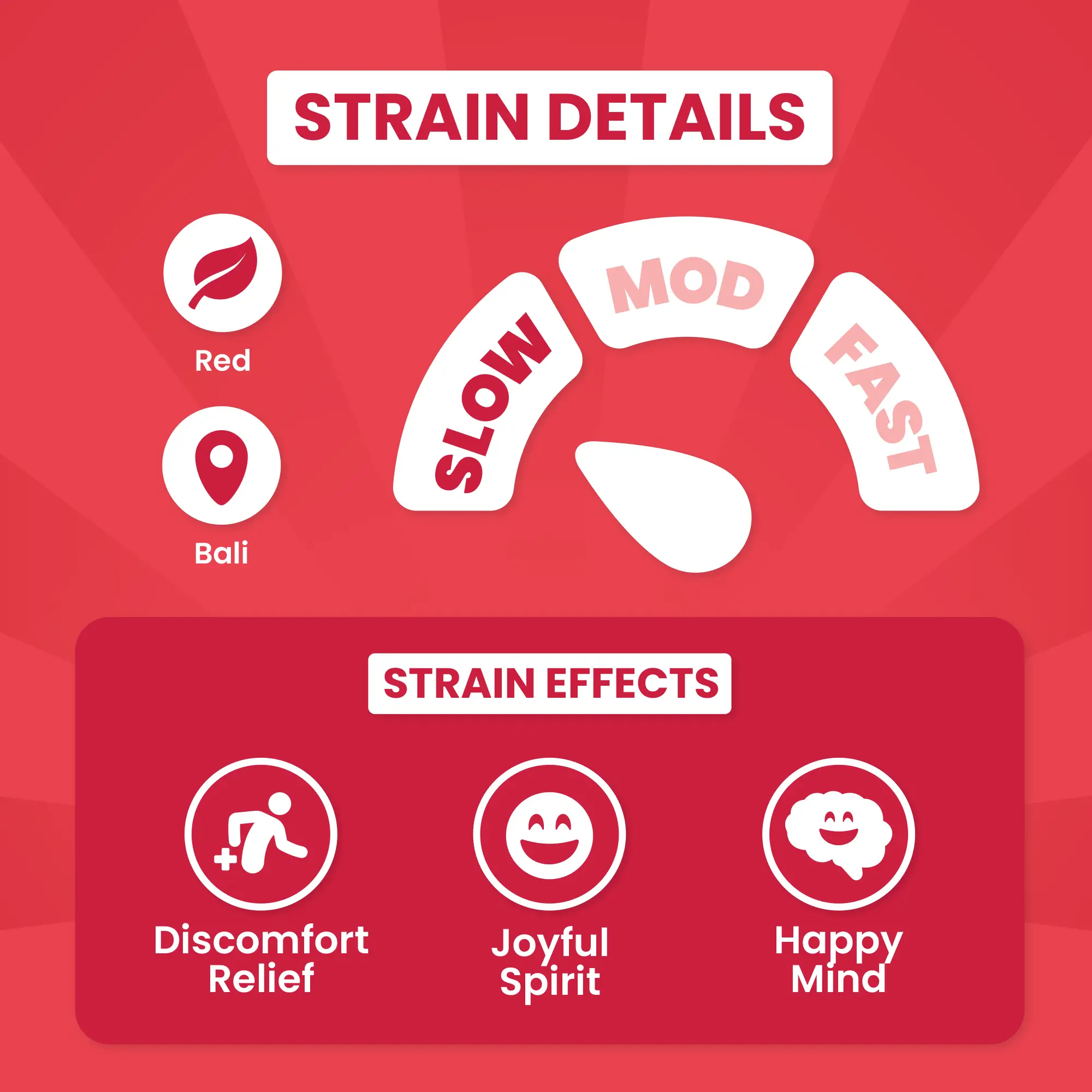 Red Dragon Bali - Image 4