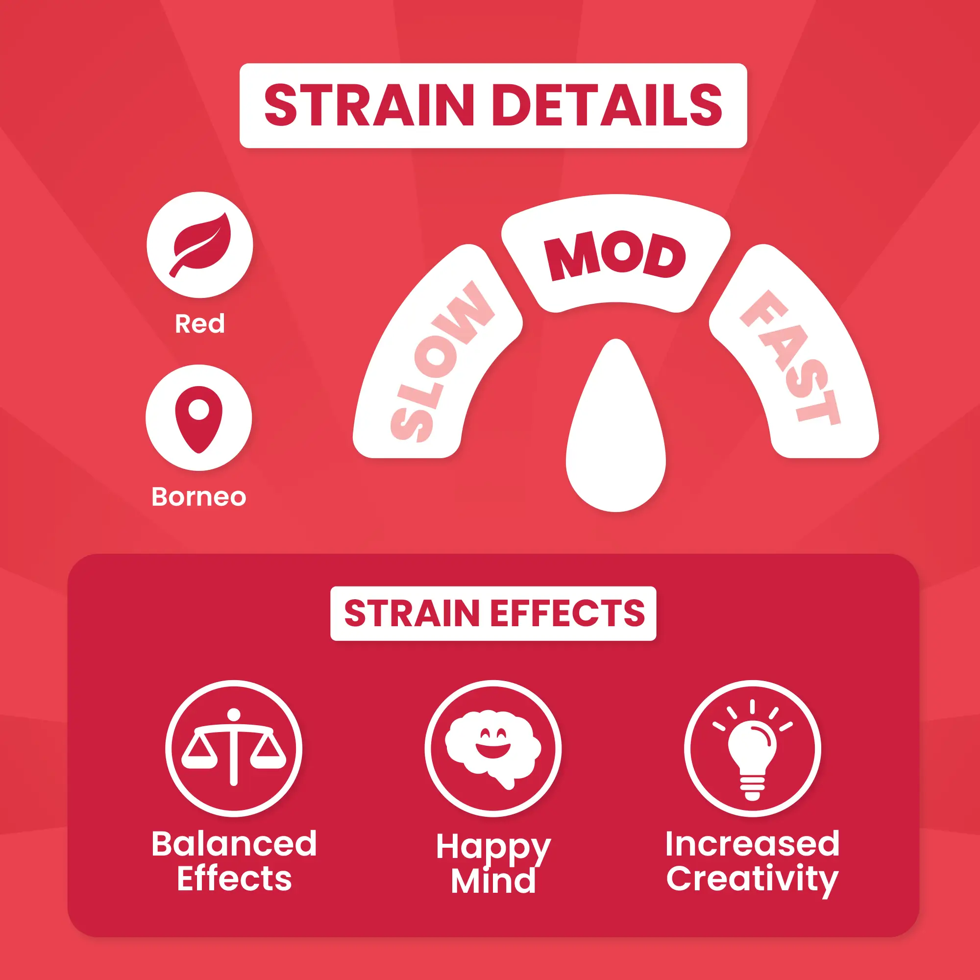 Happy Hippo II - Image 4
