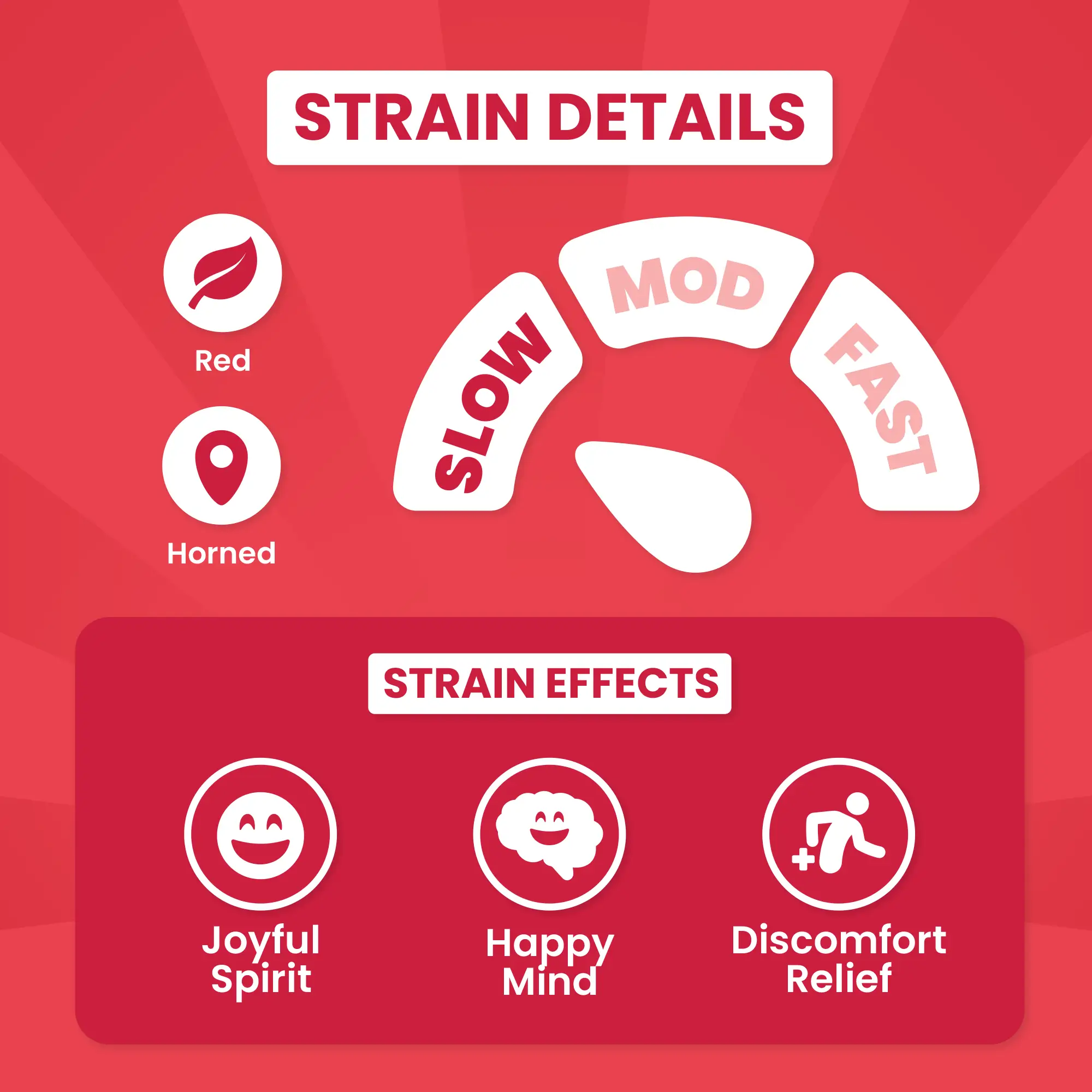 Smiley Horned Hippo - Image 4