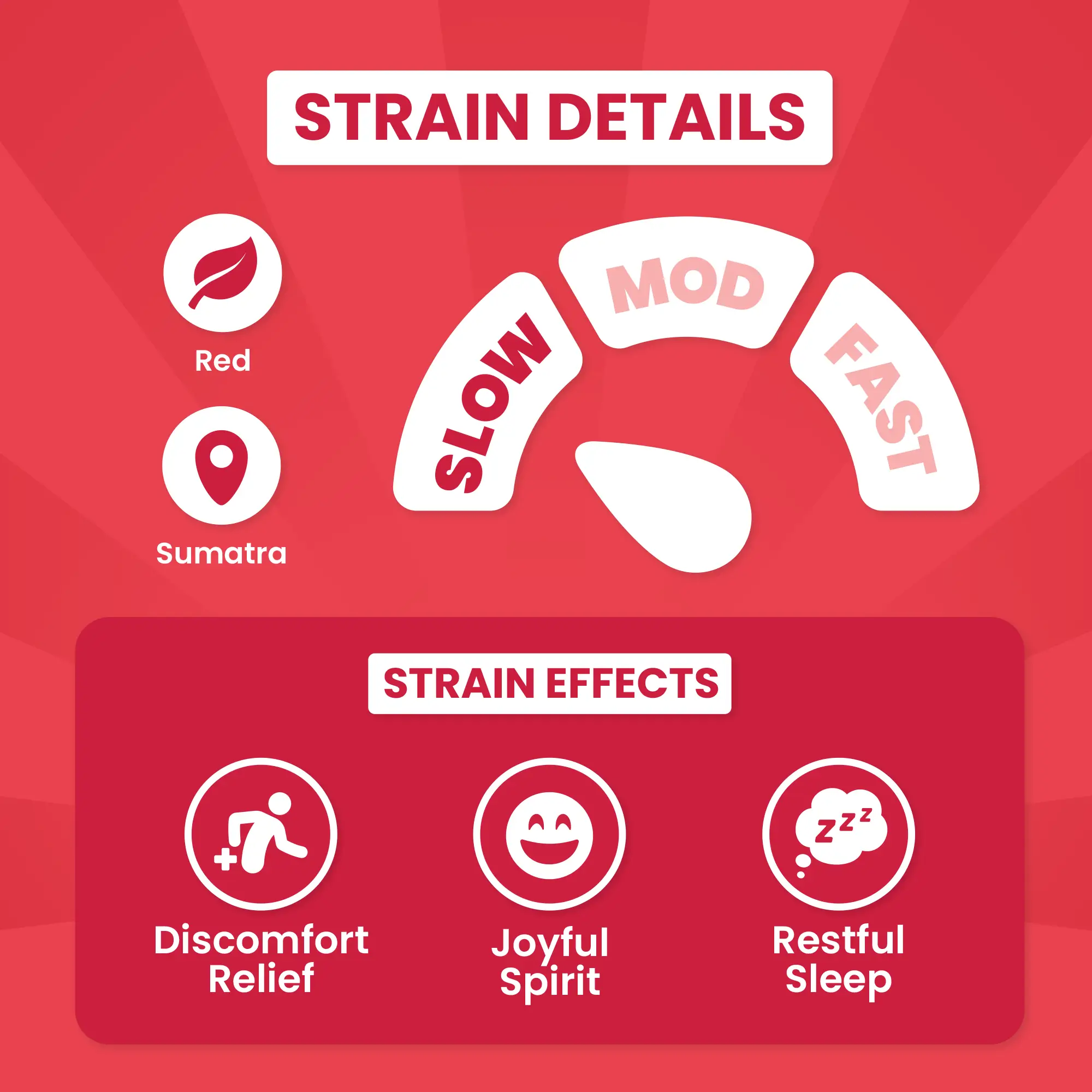 Magic Hippo - Image 4