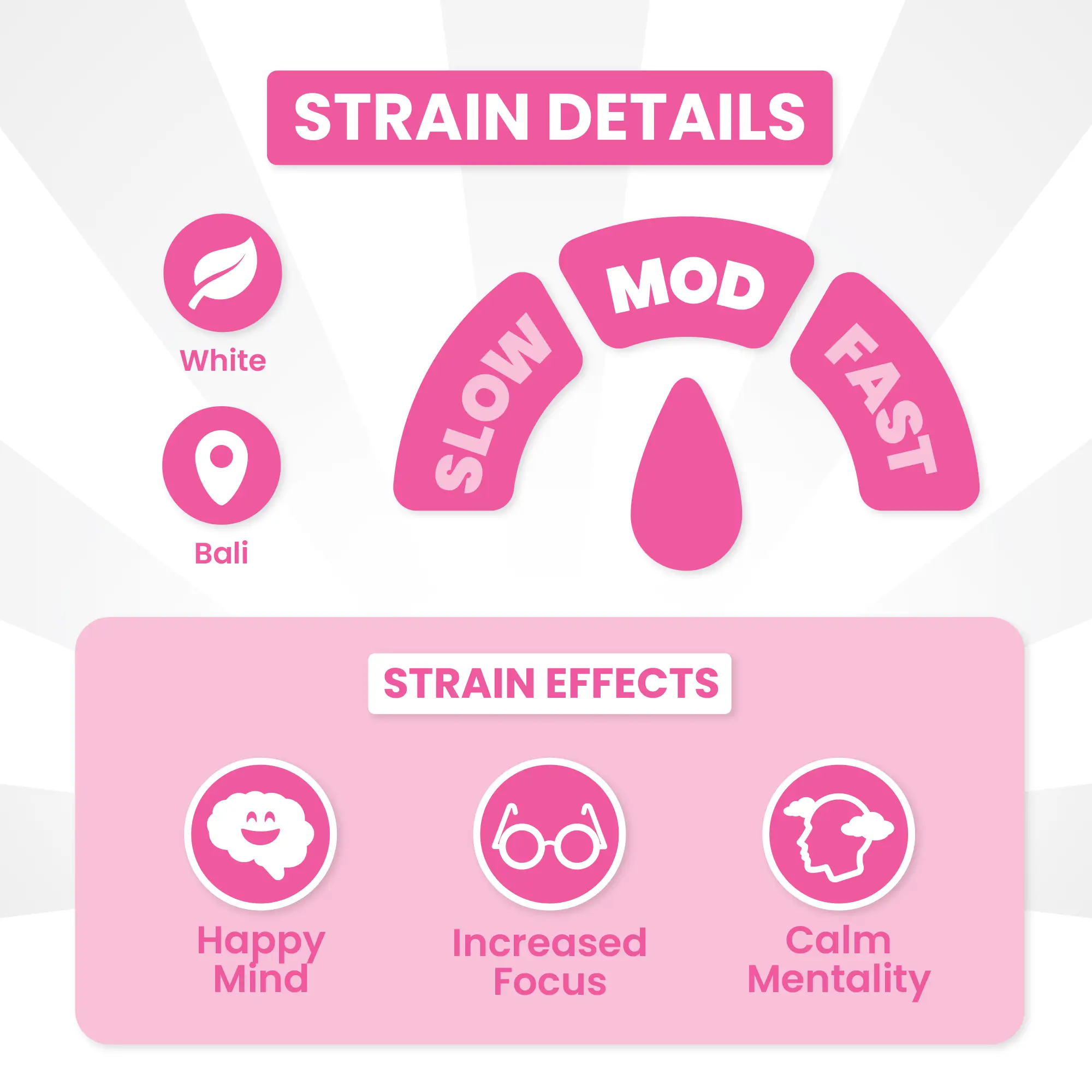 Platinum White Bali - Image 4