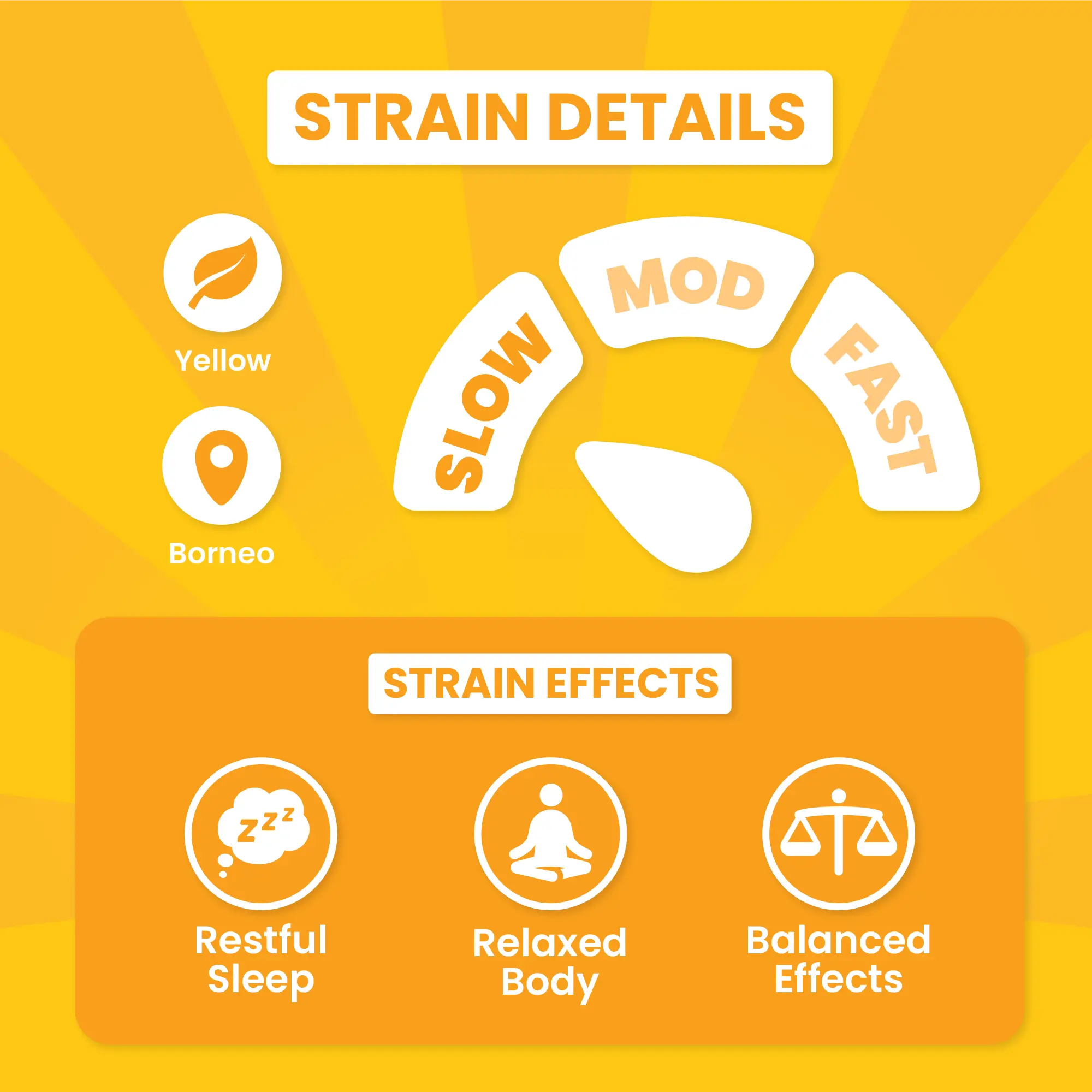 Snuggie Hippo - Image 4