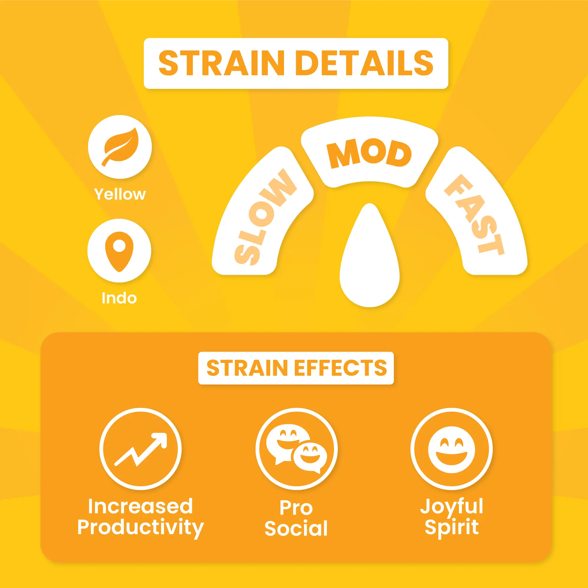 Sassy Hippo - Image 4