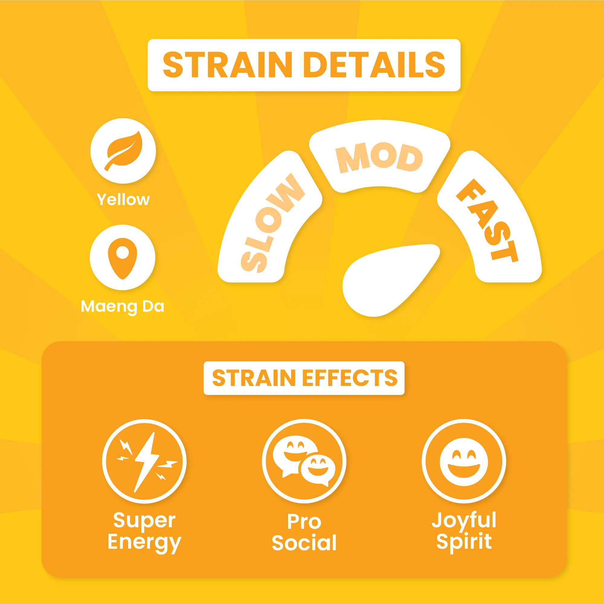 Sunshine Hippo - Image 4